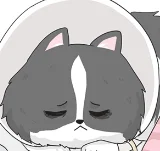 第6話