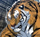 [第2季] 第50話 救出無葛吧! 1