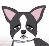 第17話