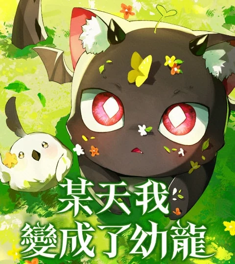 《某天我變成了幼龍》封面背景