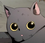 第5話 討厭貓咪