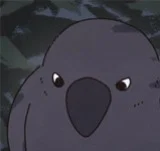 006話 - 神秘烏鴉
