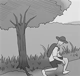 [第104話] 樹木君的復仇