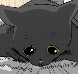 第114話 驚喜禮物