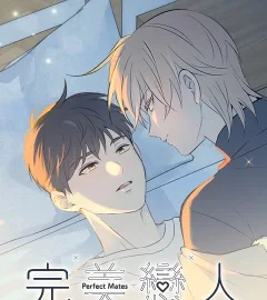《完美戀人》封面
