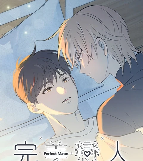 《完美戀人》封面背景