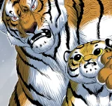 [第2季] 第151話 三場比賽 1
